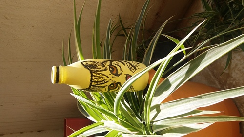 product-img